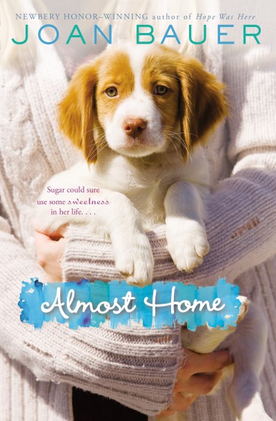 Joan Bauer/Almost Home